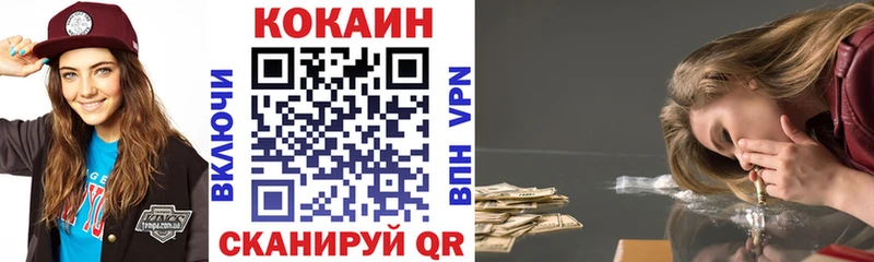Cocaine Fish Scale  Купить закладки  Грязи 