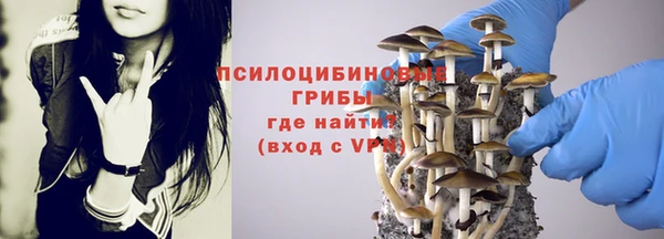 прущая мука Елабуга