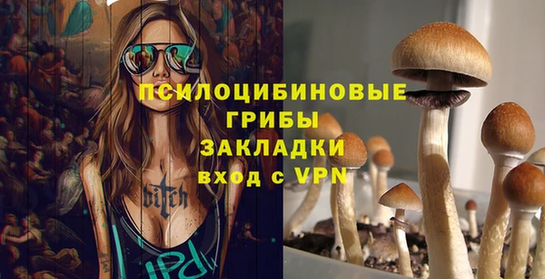 марки lsd Ельня