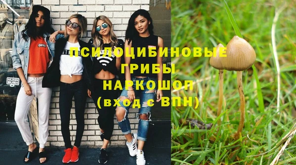 стаф Заводоуковск